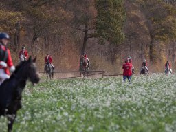 IMG_9707web